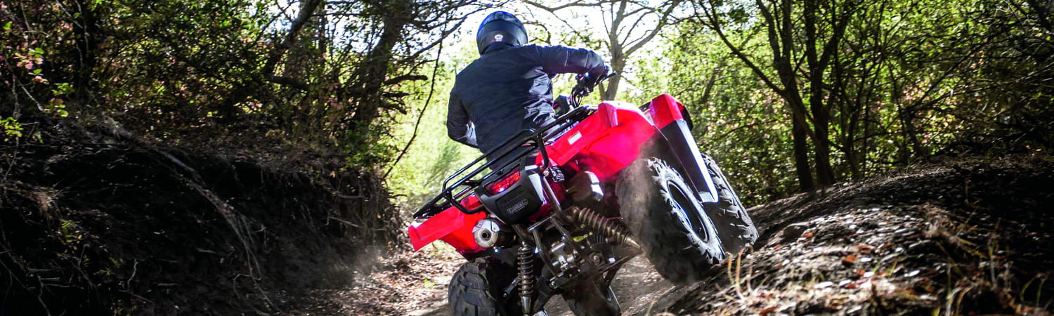 2017 Honda® Foreman Rubicon for sale in Paw Paw Cycle, Paw Paw, Michigan