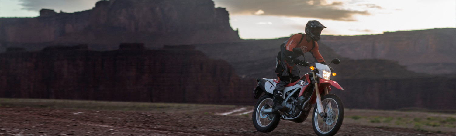 2017 Honda® CRF250L for sale in Paw Paw Cycle, Paw Paw, Michigan
